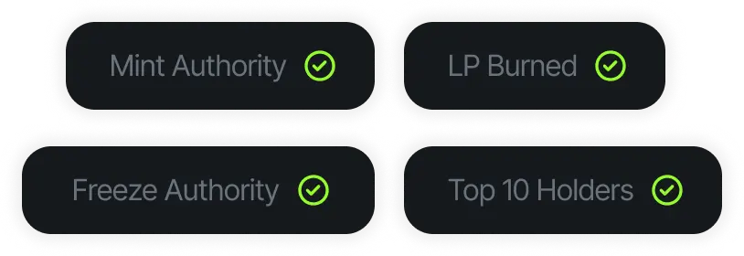 Security Audit